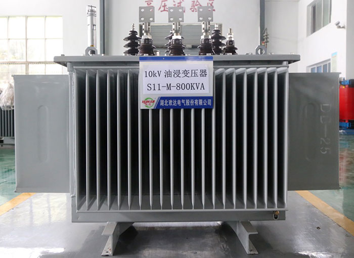 荆州10kV油浸变压器S11-M-800KVA