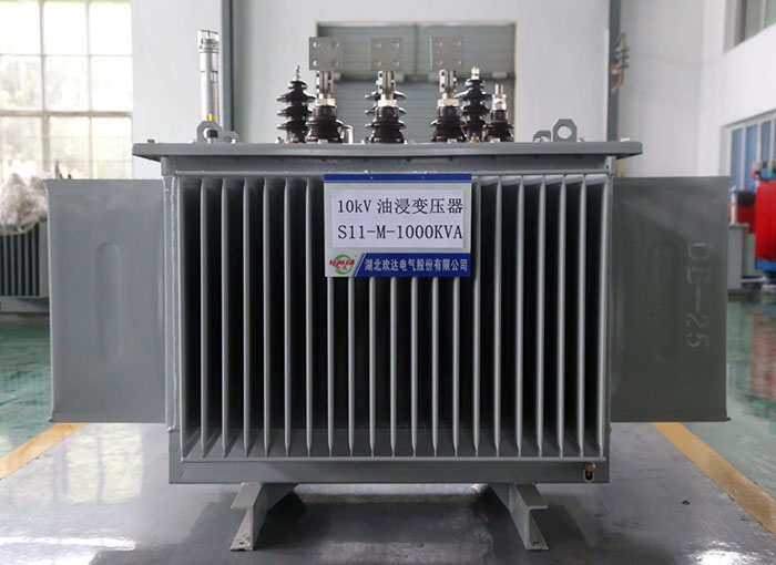 荆州10kV油浸变压器S11-M-1000KVA