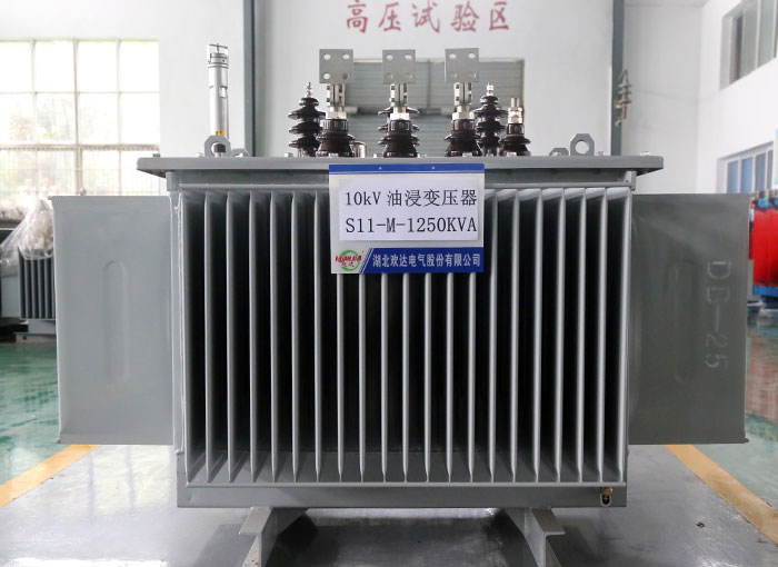荆州10kV油浸变压器S11-M-1250KVA